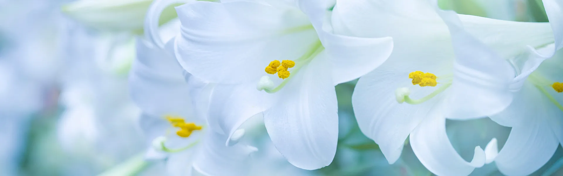 【葬儀社×終活相談】分からないを解決していこう!